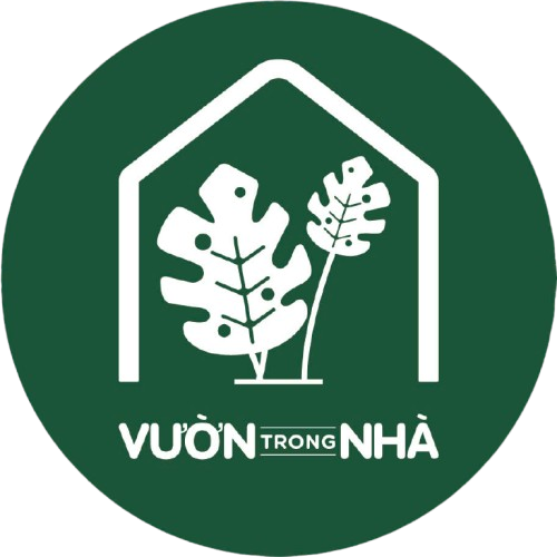 Vuontrongnha