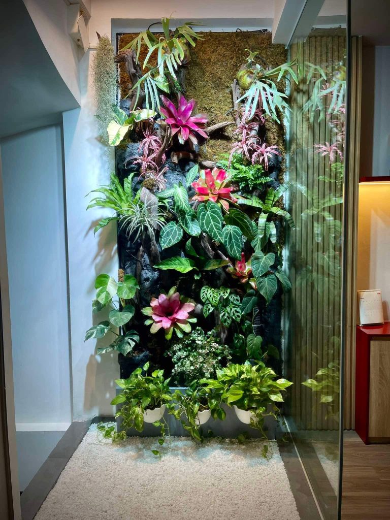 VAT COM Trung Kính | Tường cây giếng trời trong hộp kính