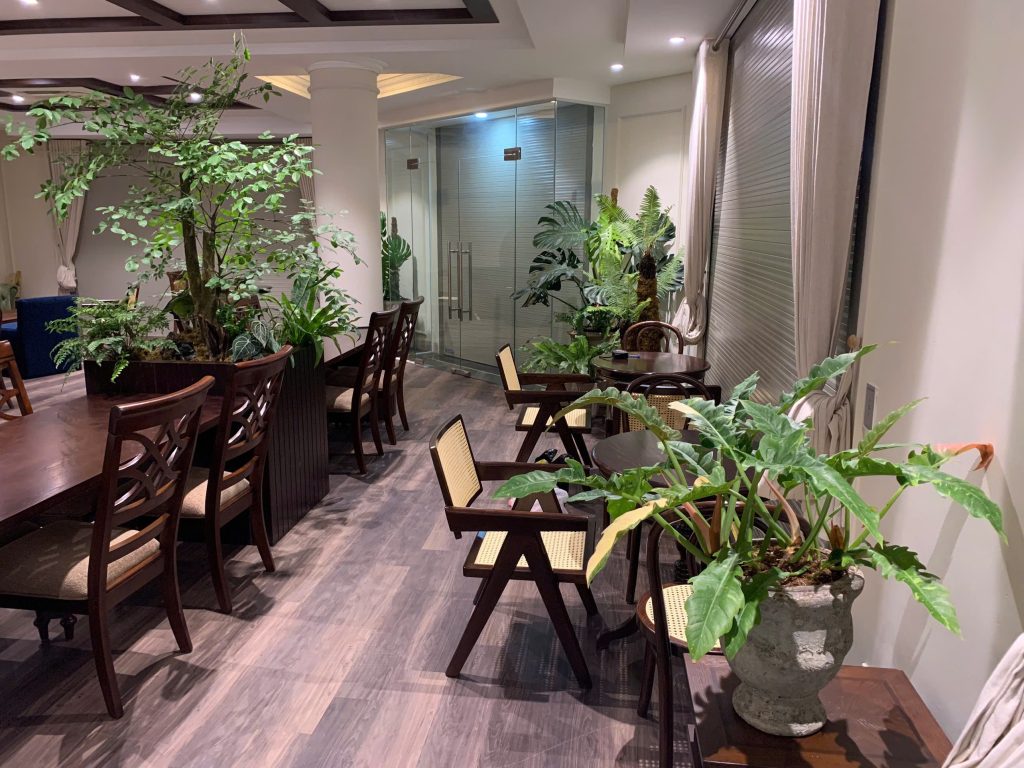 Tiệm Café Sân Vườn – Biệt Thự Xuân Phương | Không Gian Tropical Xanh Mát Từ Trong Ra Ngoài