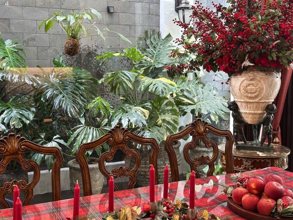 SÂN VƯỜN BIỆT THỰ CIPUTRA – KIỂNG LÁ LÁ LỚN CAO CẤP CHẬU ATLANTIC