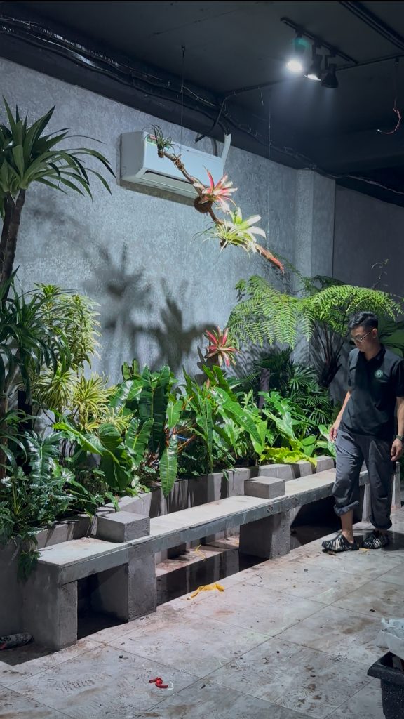 Quán Cafe DJ Tilo | Không gian Tropical với tường cây và bồn cây đa tầng