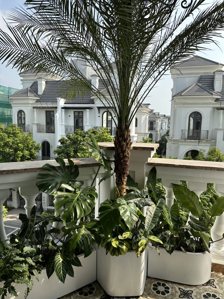 CĂN GÓC SAO BIỂN, OCEAN PARK – Không gian chill chuẩn “resort balcony” giữa lòng đô thị biển