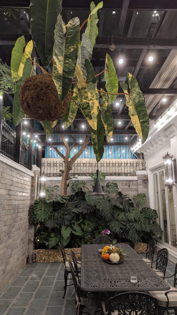 Sân vườn biệt thự Ciputra – Không gian xanh đẳng cấp với những điểm nhấn độc bản