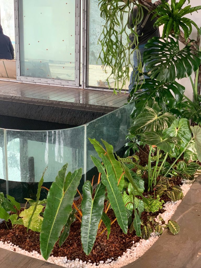 Bồn Cây Tropical 13m Tại The Manor Central Park – Thiết Kế Đa Tầng Uốn Cong Theo Hồ Bơi