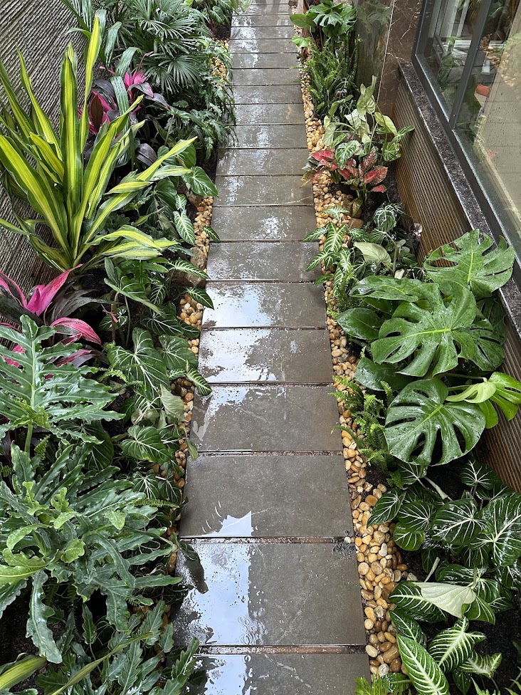 Cảnh Quan Sân Vườn Biệt Thự Ngoại Giao Đoàn – Không Gian Kiểng Lá Ưa Bóng 120m² Xanh Chuẩn Nghỉ Dưỡng