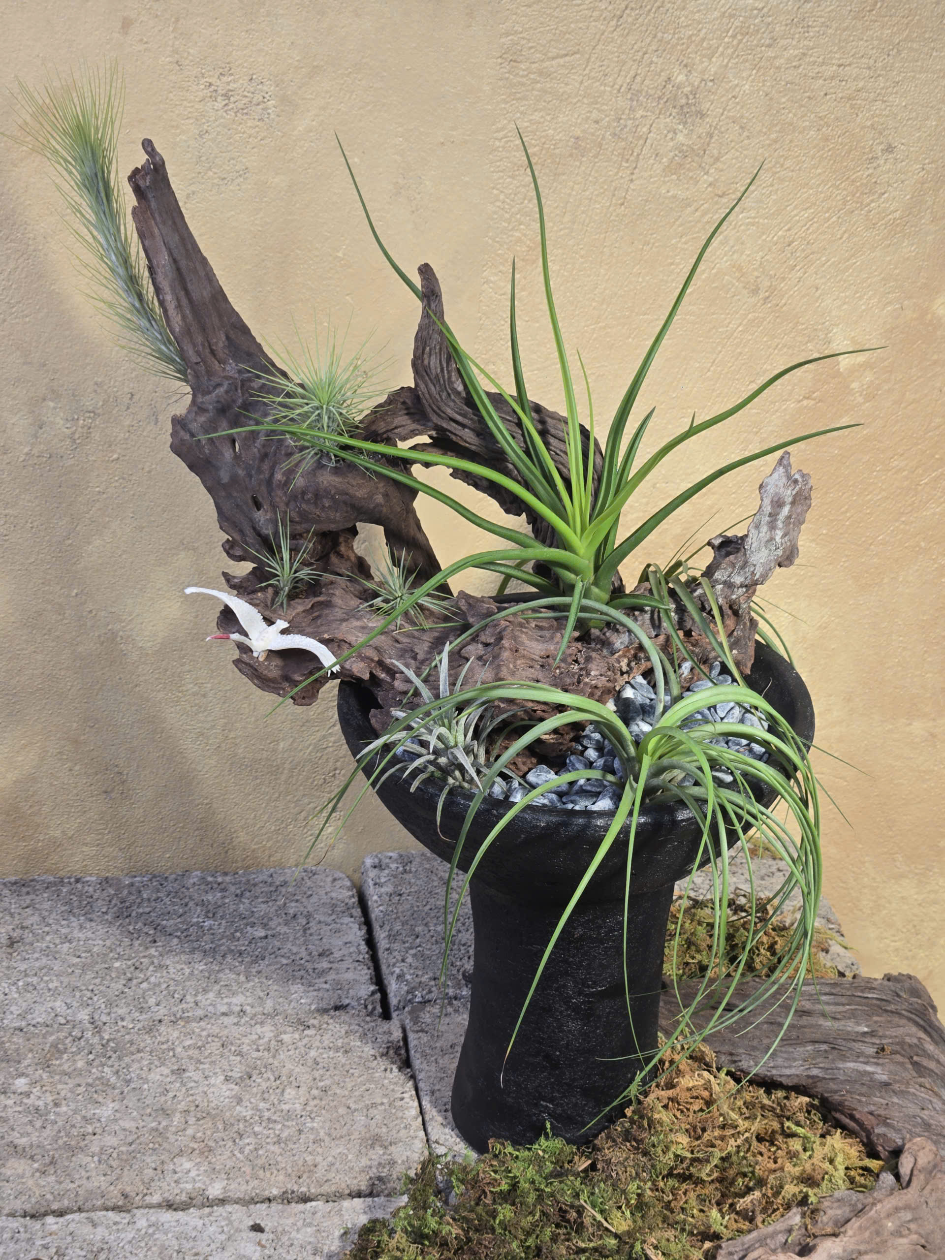 Tác phẩm tiểu cảnh cây không khí Tillandsia kết hợp gỗ lũa nghệ thuật và tượng hạc trắng trên chậu gốm Bầu Trúc màu đen thô mộc